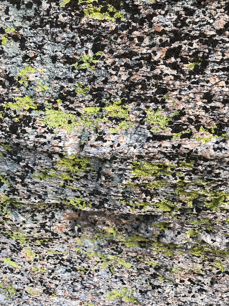 Rockwall, camo, cool, lichen, nature, HD phone wallpaper