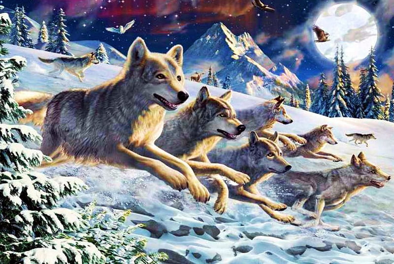 On the Hunt, owl, raptors, eagle, artwork, winter, moon, snow, wolfpack, evening, wolves, landscape, HD wallpaper