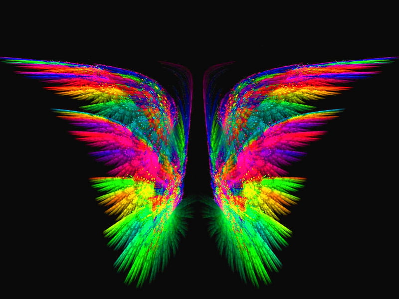 Neon wings, colors, neon, black, wings, HD wallpaper