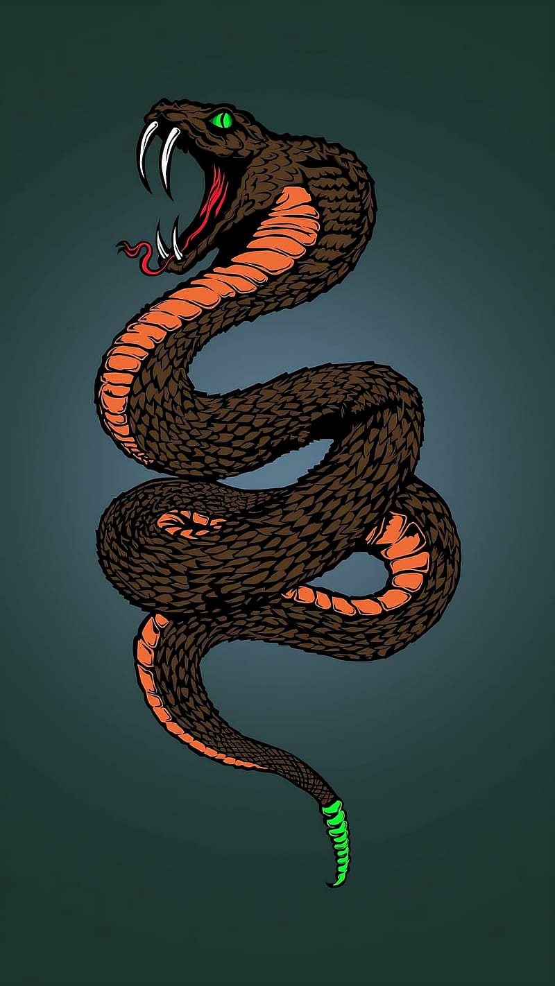 Cobra Snake, vector art, king, cobra, snake, HD phone wallpaper