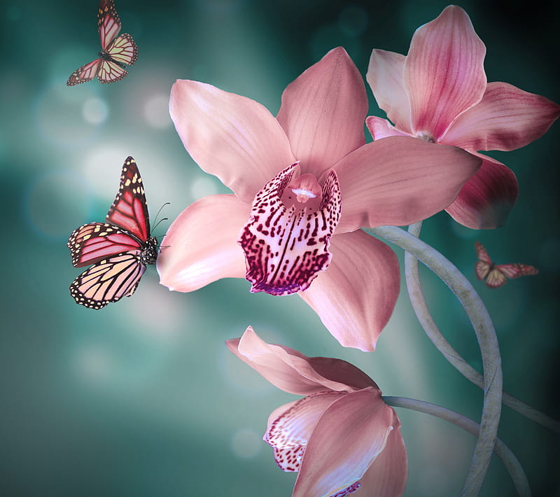Butterfly Flower, butterfly, flower, HD wallpaper
