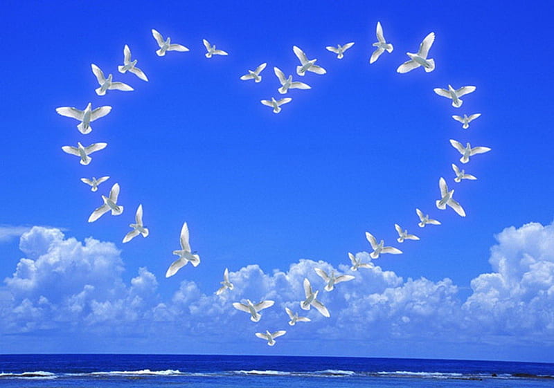 Love and Peace, ocean, birds, peace, waves, clouds, water, doves, love, heart, HD wallpaper