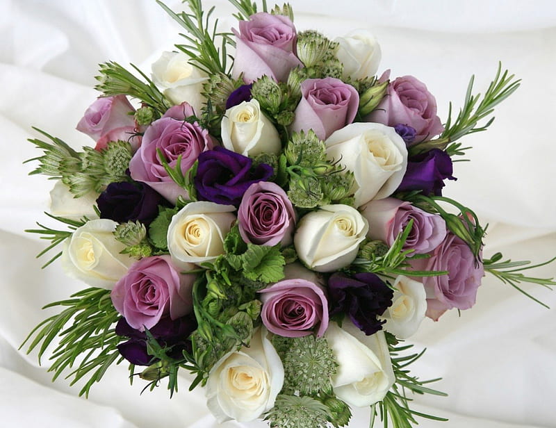 ramo dulce *, morado, ramo, regalo romántico, flores, rosas, blanco,  delicado, Fondo de pantalla HD | Peakpx