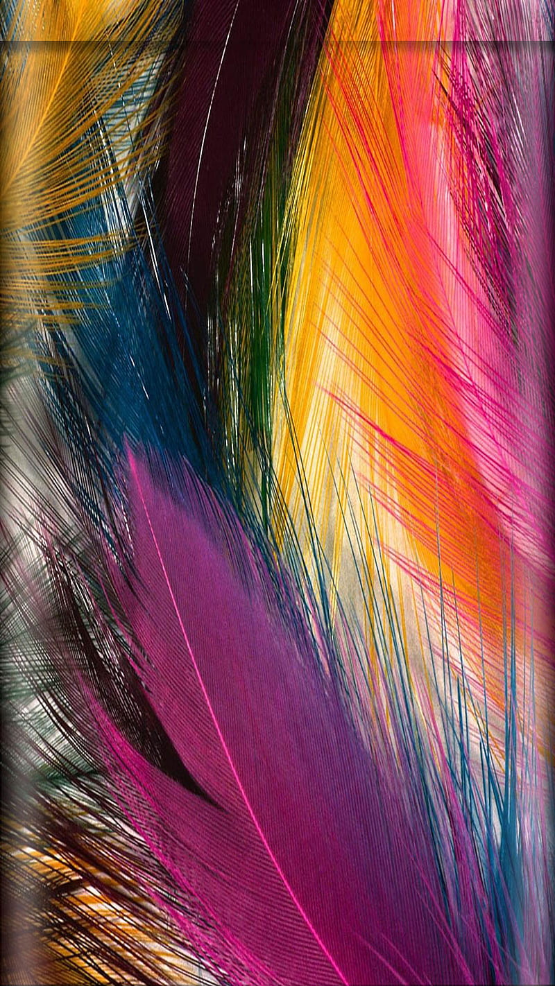 feathers, abstract, background, colorful, desenho, feather, HD phone wallpaper
