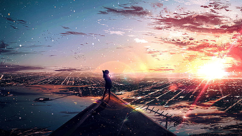 anime landscape, sunset, cityscape, scenery, sky, girl and cat, Anime, HD wallpaper