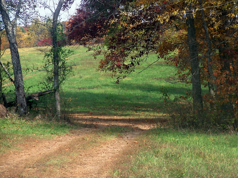 Field Gates, Open Fields, Pasture, Autumn, Nature, HD wallpaper