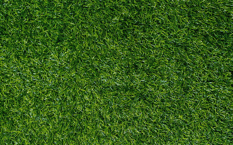 green grass texture, green lawn, grass background, environment, ecology, grass green background, HD wallpaper