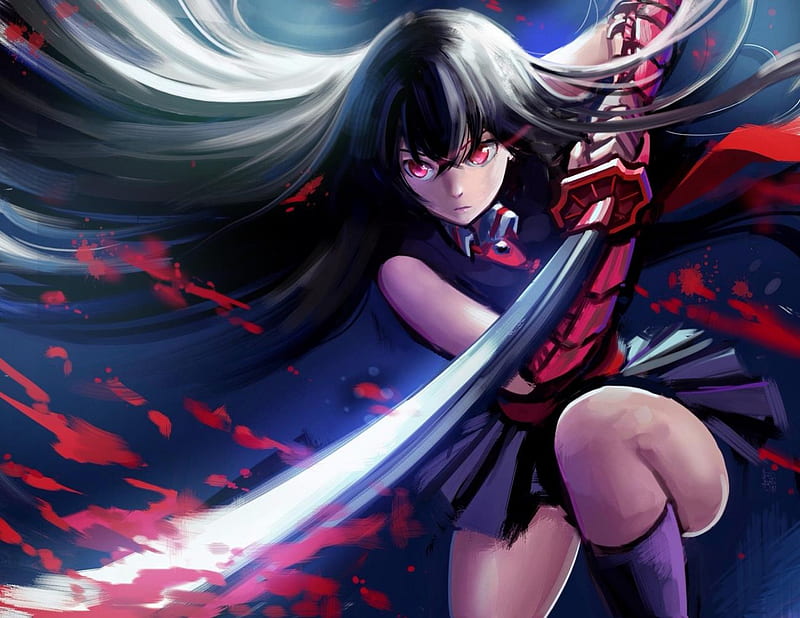Akame ga Kill wallpaper by UsualRo  Download on ZEDGE  02a4