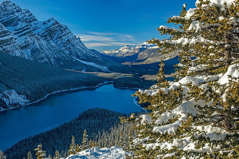 National Park, Banff National Park, Lake , Canada , Peyto Lake, HD wallpaper