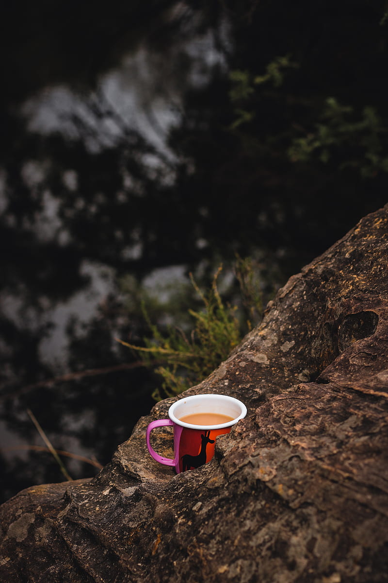 mug, coffee, stone, tree, HD phone wallpaper