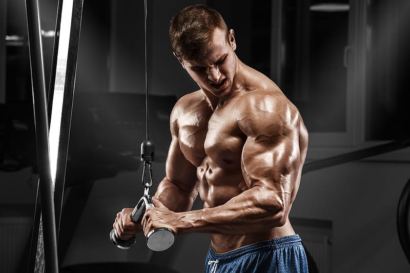 Bodybuilder Muscles, HD wallpaper | Peakpx
