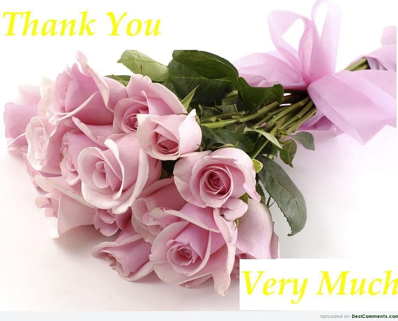 Pink roses, message, thank you, flowers, bow, roses, pink, HD wallpaper