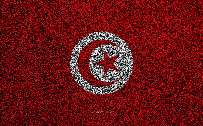 Flag of Tunisia, asphalt texture, flag on asphalt, Tunisia flag, Africa, Tunisia, flags of African countries, HD wallpaper