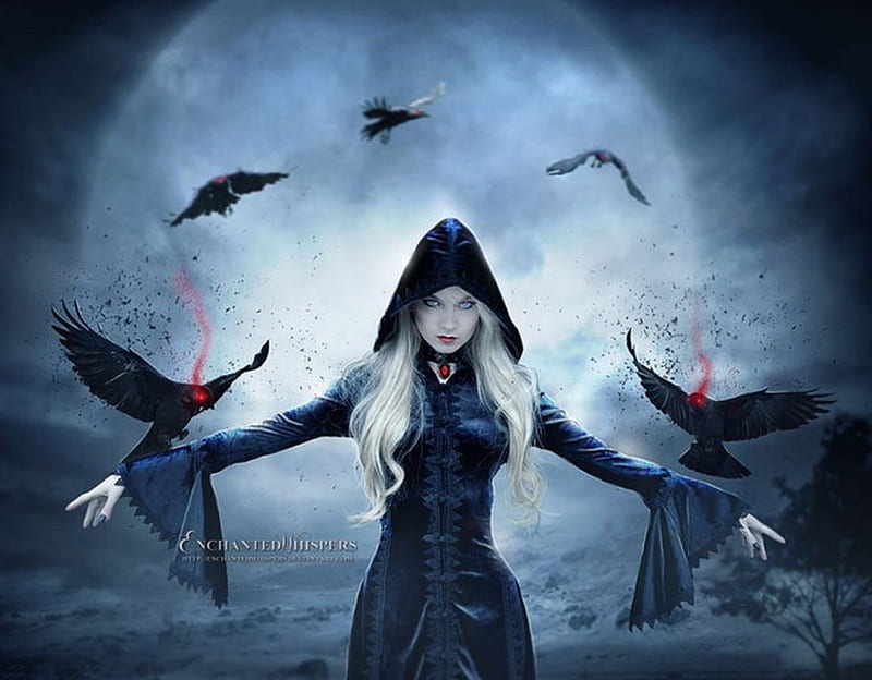 Protector, witch, magic, fantasy, moon darkness, enchanted, night, art, raven, black, abstract, blood, grave, goth, alone, bird, dark, crow, HD wallpaper