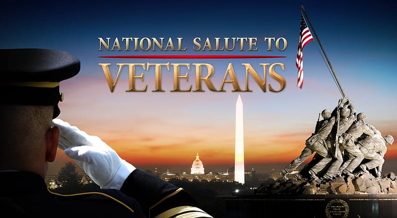 A Salute to Veterans, rocks, Veterans, Washington Monument, monuments, United States Capitol, Capital, Veterans Day, soldiers, flag, salute, guns, helmets, Vets, American Flag, HD wallpaper