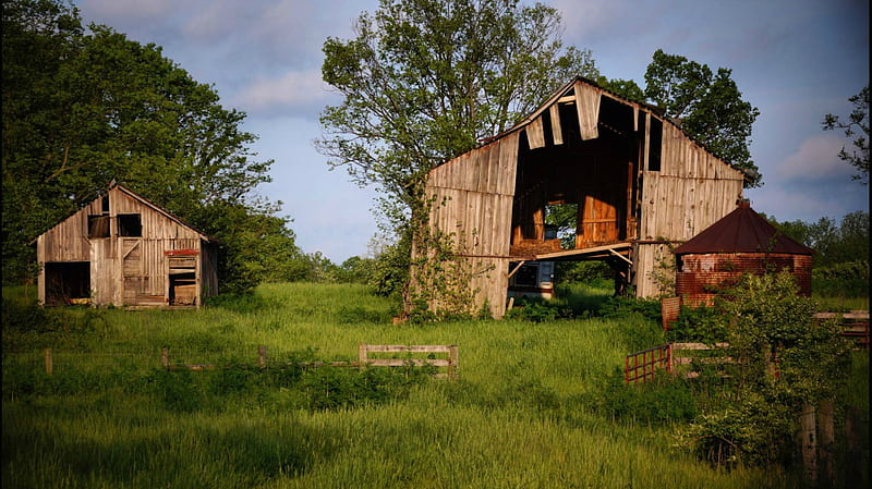 Barns in Kentucky, farmland, country, Kentucky, barns, HD wallpaper