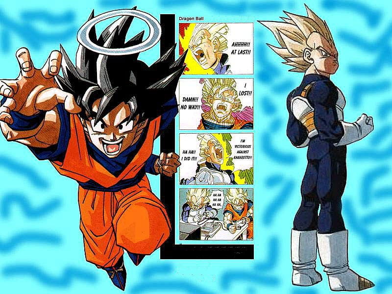 Goku and Vegeta's fight, goke, anime, game, comedy, fight, vegeta, HD  wallpaper | Peakpx