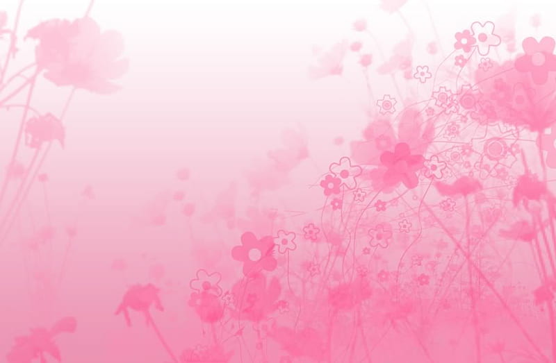 Pink flower. jpg, flowers, spring, bloom, pink, HD wallpaper | Peakpx