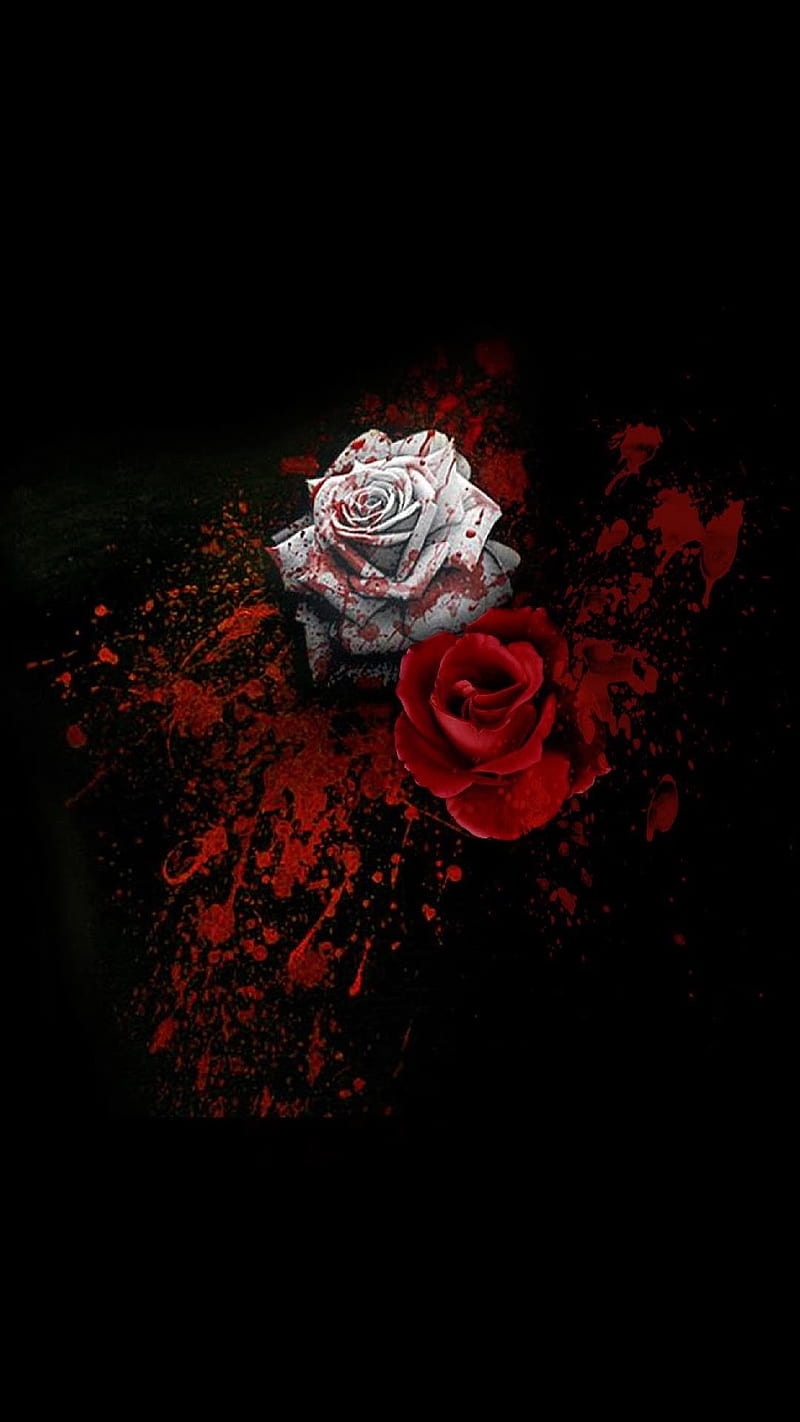 Roses, fsdf, HD phone wallpaper