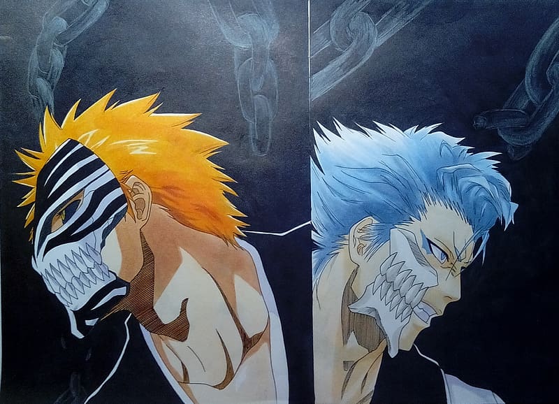 Anime, Bleach, Ichigo Kurosaki, Kūgo Ginjō, HD wallpaper Anime, Bleach, Ichigo Kurosaki, Kūgo Ginjō, HD wallpaper