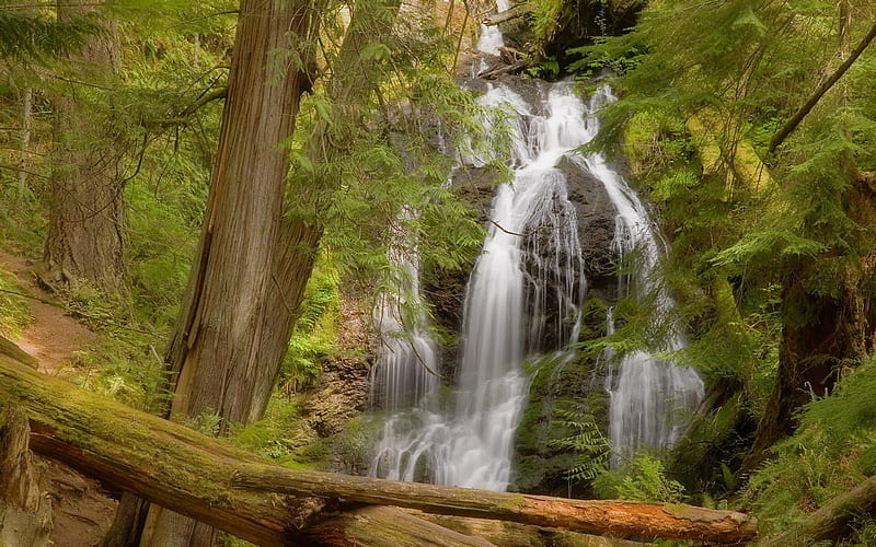 Cascade Falls, Moran State Park, Washington, forest, nature, trees, canyon, waterfalls, HD wallpaper