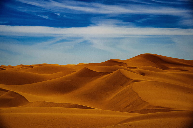 Sunny Day In Desert, HD wallpaper