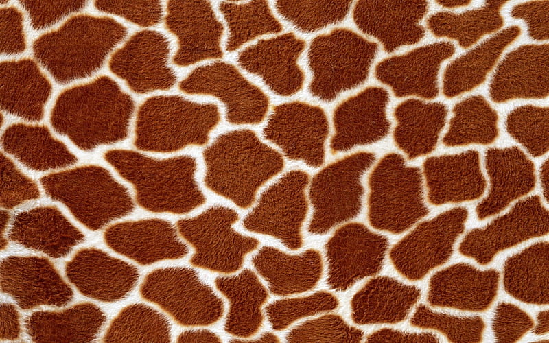 Texture, brown, animal print, skin, white, giraffe, HD wallpaper