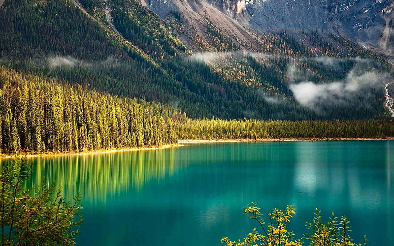 emerald lake, forest, yoho, beautiful lake, british columbia, mountains, canada, HD wallpaper