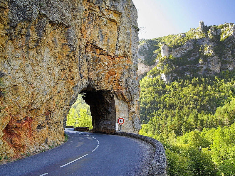 Drive safely, fir trees, mountain, rock, bridge, road, pass, road sign, HD wallpaper