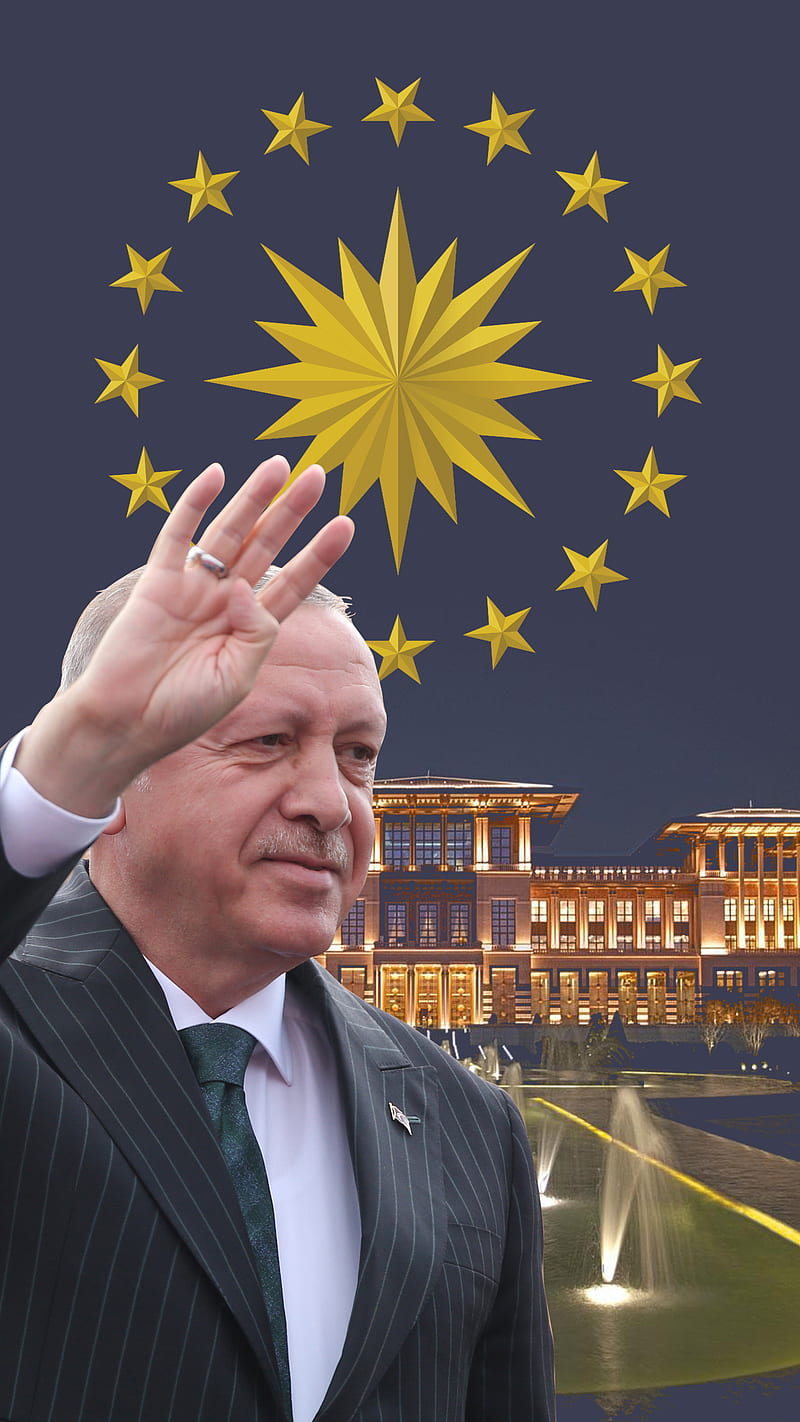 recep tayyip erdogan, ak parti, baskan, cumhurbaskani, islamic leader, lider, ottoman, president, reis, turk, turkish leader, HD phone wallpaper