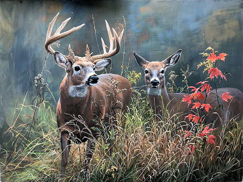 Whitetails in Fall Season, leaves, autumn, deer, painting, colors, artwork, HD wallpaper