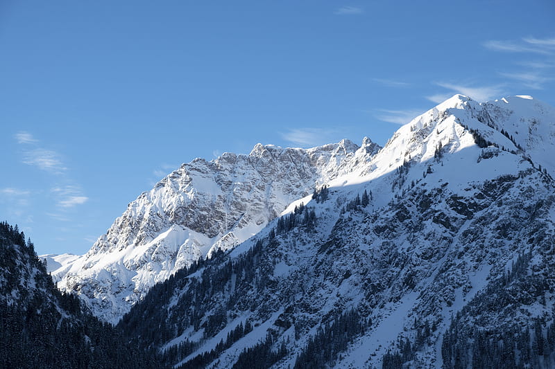 mountain, snow, slope, trees, landscape, HD wallpaper