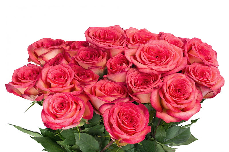 For you!, special days, bouquet, fresh, love, flowers, nature, roses ...