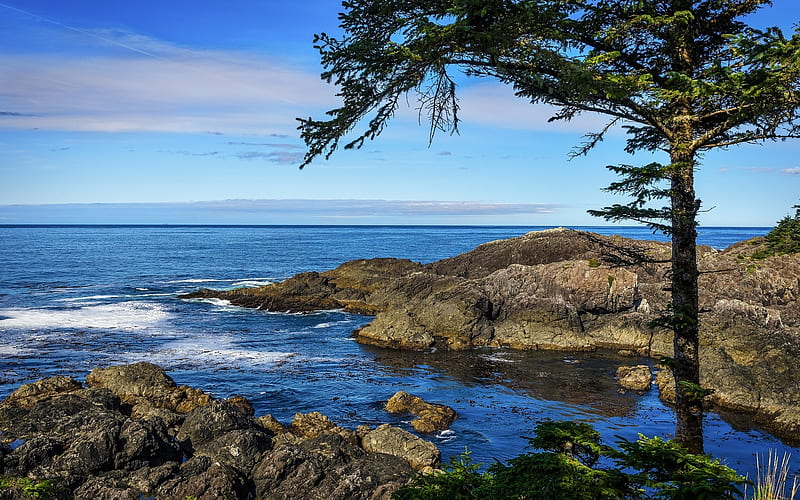 Vancouver Island, Canada, tree, Canada, ocean, rocks, island, coast, HD  wallpaper | Peakpx