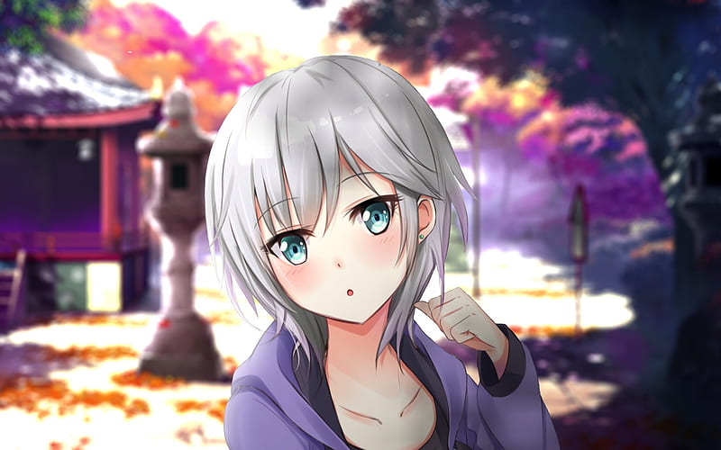 Girl with gray hair wearing purple tops anime character illustration HD  wallpaper  Wallpaper Flare