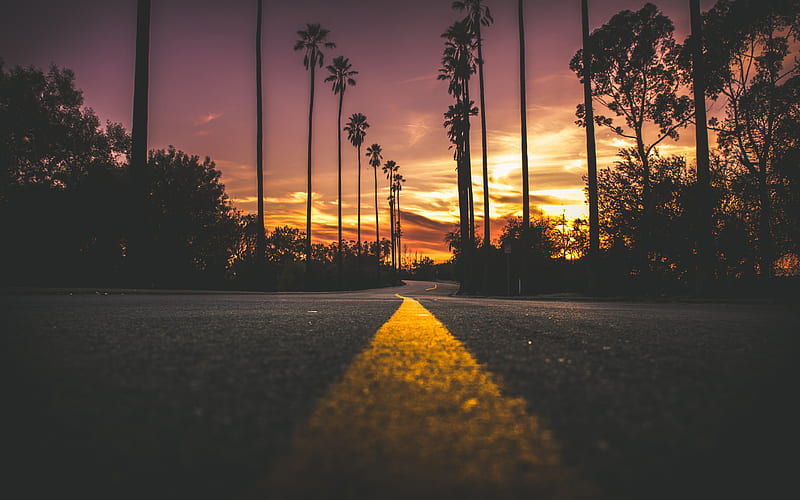 USA road, sunset, yellow lines, palms, America, HD wallpaper