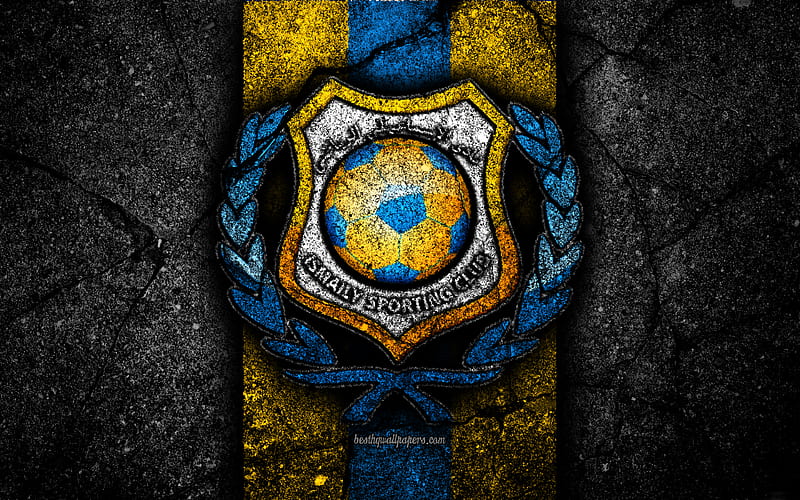 Ismaily SC, club, egypt, football, logo, soccer, HD wallpaper | Peakpx