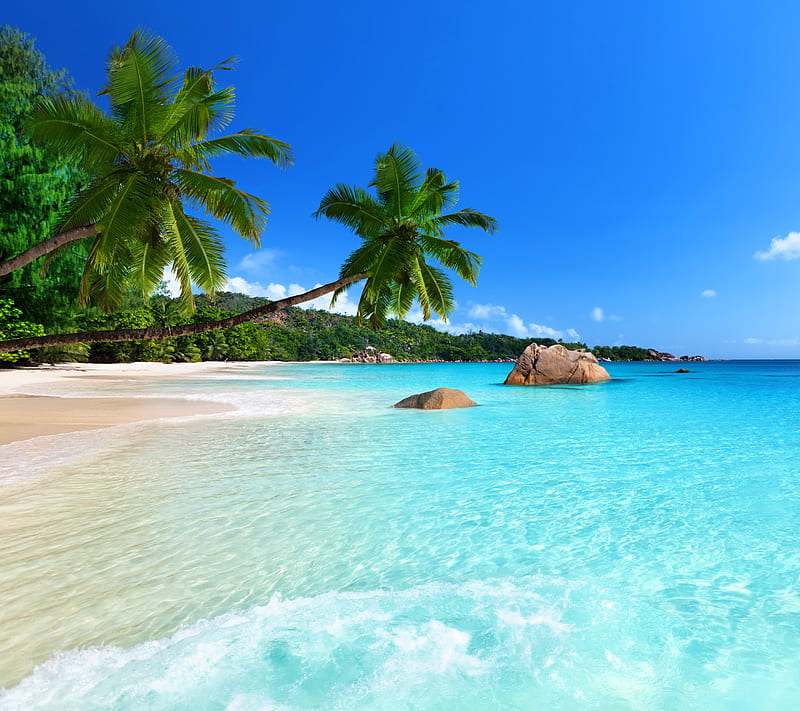 Tropical Beach, beach, blue, nature, palms, rocks, tropical, water, HD wallpaper