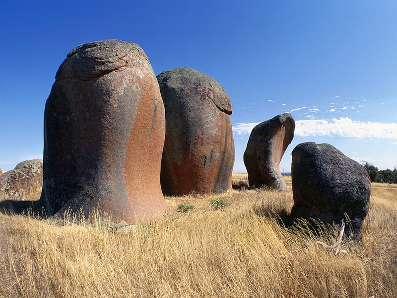 australia field megalith, field, HD wallpaper