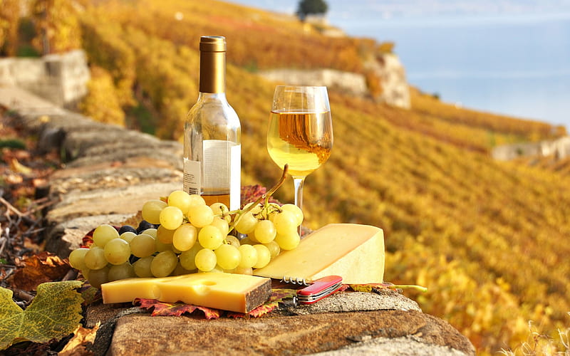 Wine, Yellow, Drink, Grape, Food, Grapes, Cheese, Drinks, Cheese and Wine, HD wallpaper