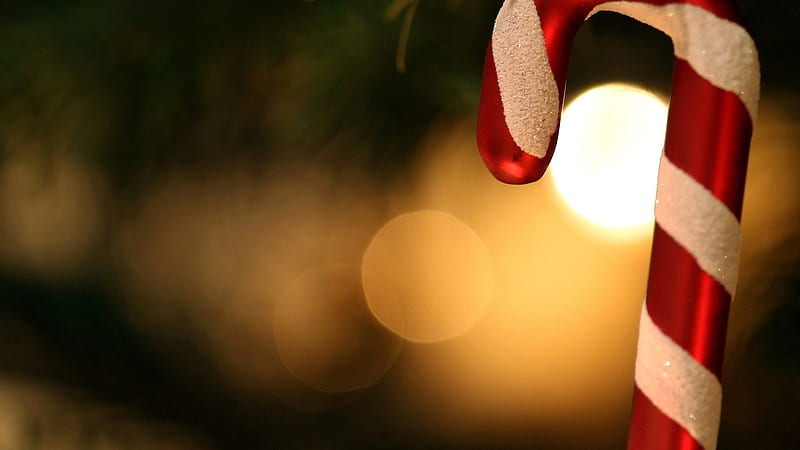 Candy Cane With Shallow Background Of Lights Candy Cane, HD wallpaper