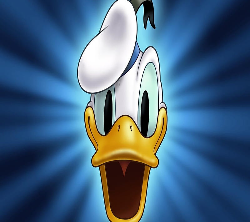 Donald Duck, cartoons, HD wallpaper | Peakpx