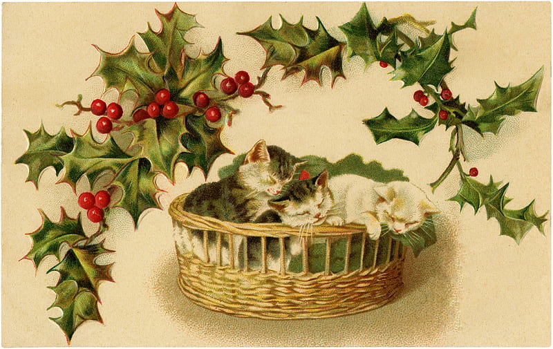 Merry Christmas!, pisici, cat, vintage, card, red, sleep, christmas, craciun, fruit, mistletoe, green, berry, basket, HD wallpaper
