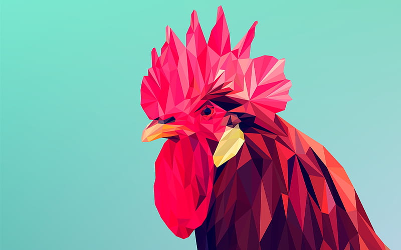 Rooster low poly art, blue background, minimal, 3d art, HD wallpaper