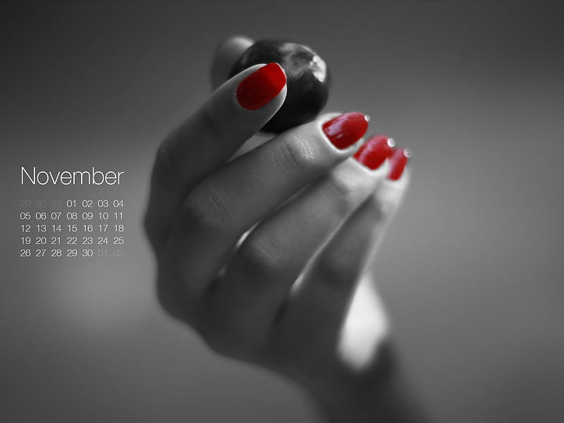 Bursting Chestnut-November 2012 calendar, HD wallpaper
