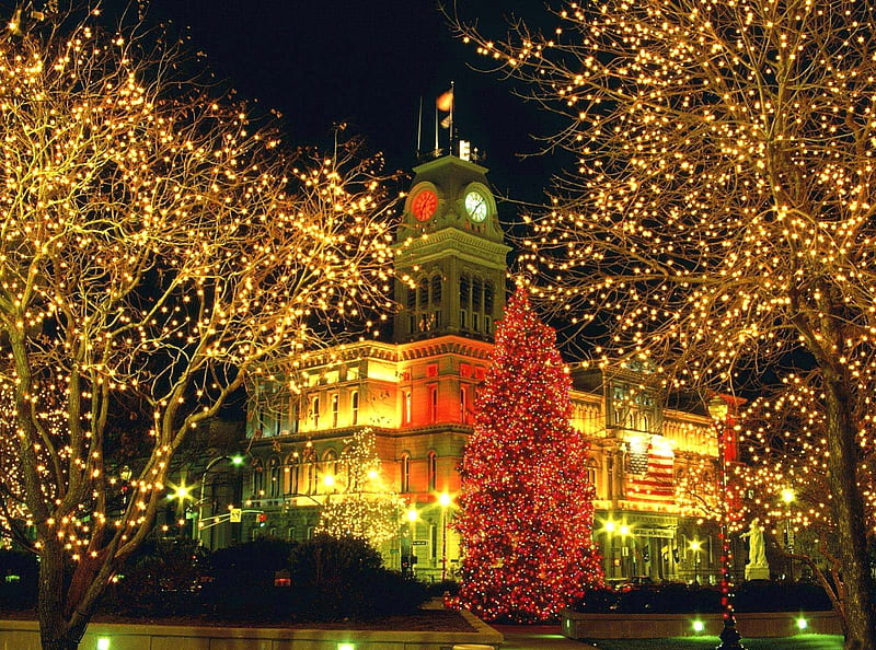 Capitol christmas, amazing, christmas, december, bonito, flag, tree, city, usa, neon, capitol, light, night, HD wallpaper