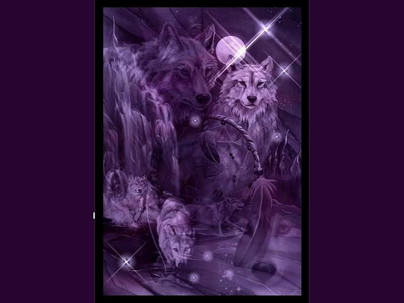 PURPLE WOLF MOON, moon, purple, wolves, dreamcatcher, HD wallpaper