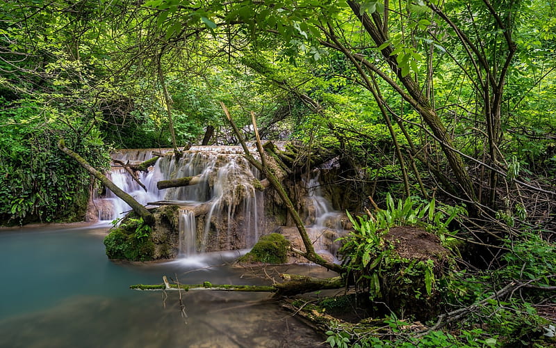 tropical forest, waterfall, river, beautiful forest landscape, green trees, HD wallpaper