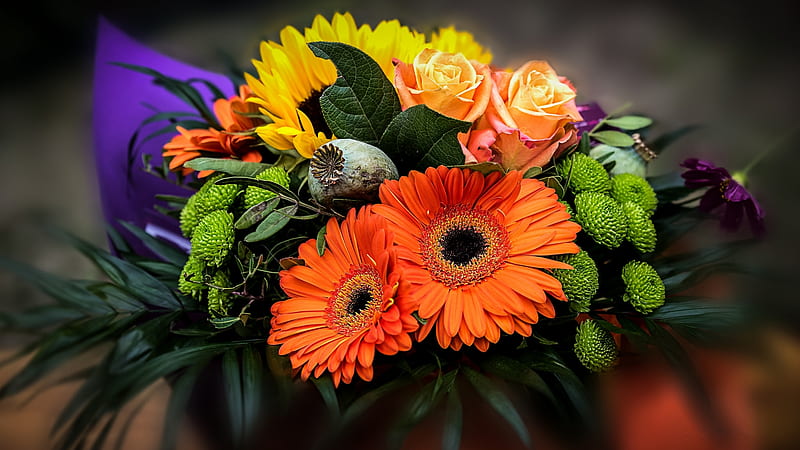 Beautiful Flowers, colors, flower, bonito, orange, HD wallpaper | Peakpx