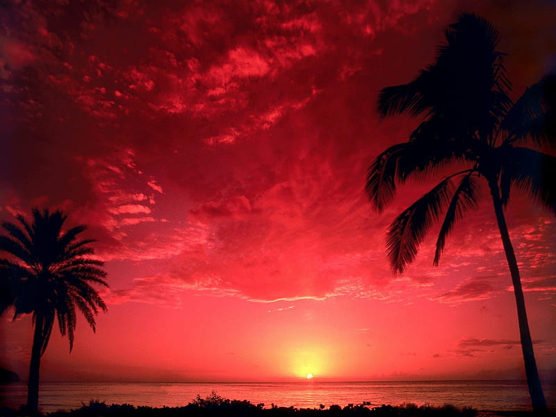 South Pacific Sunset-Beautiful natural scenery, HD wallpaper